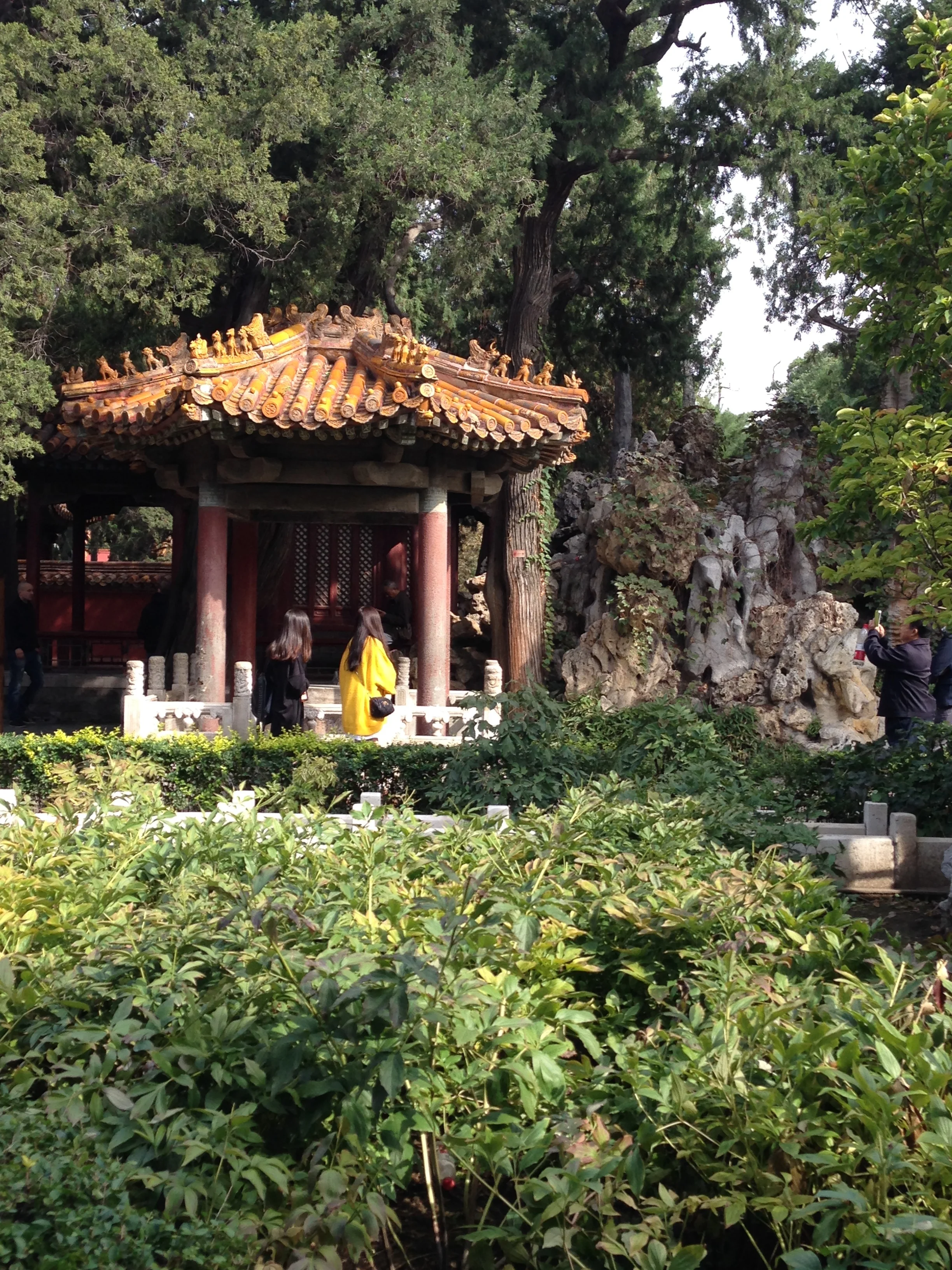 The gardens of the Forbidden City were lovely (and slightly less crowded).