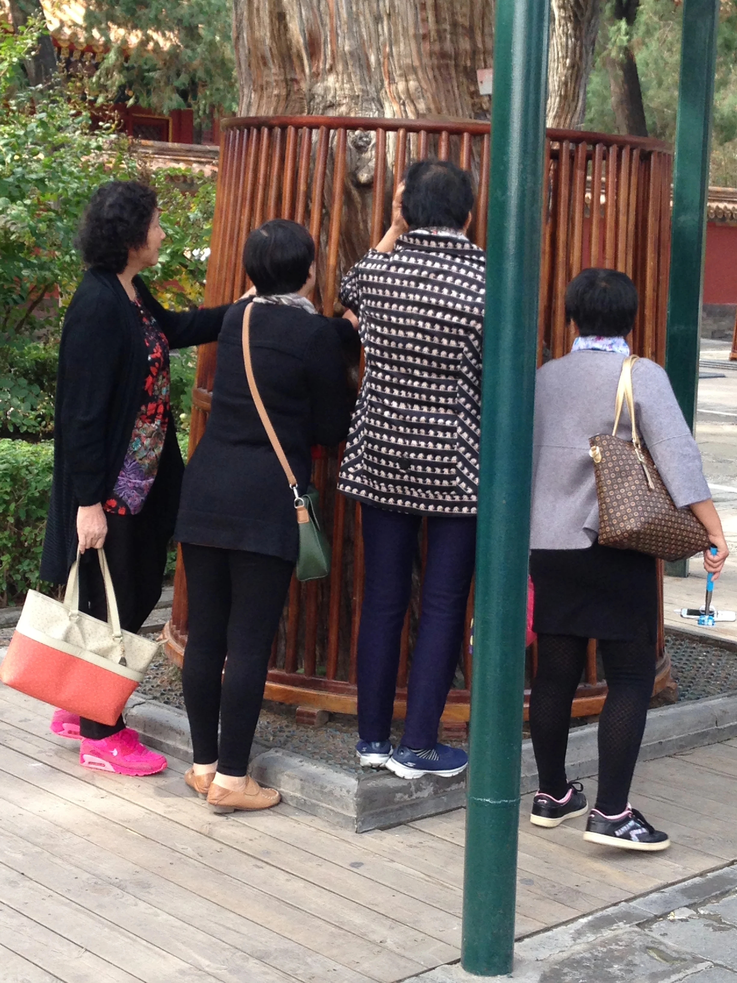 These ladies were rubbing this special tree for good fortune and (I think) prosperity. They then smoothed the luck over their heads. I followed suit.