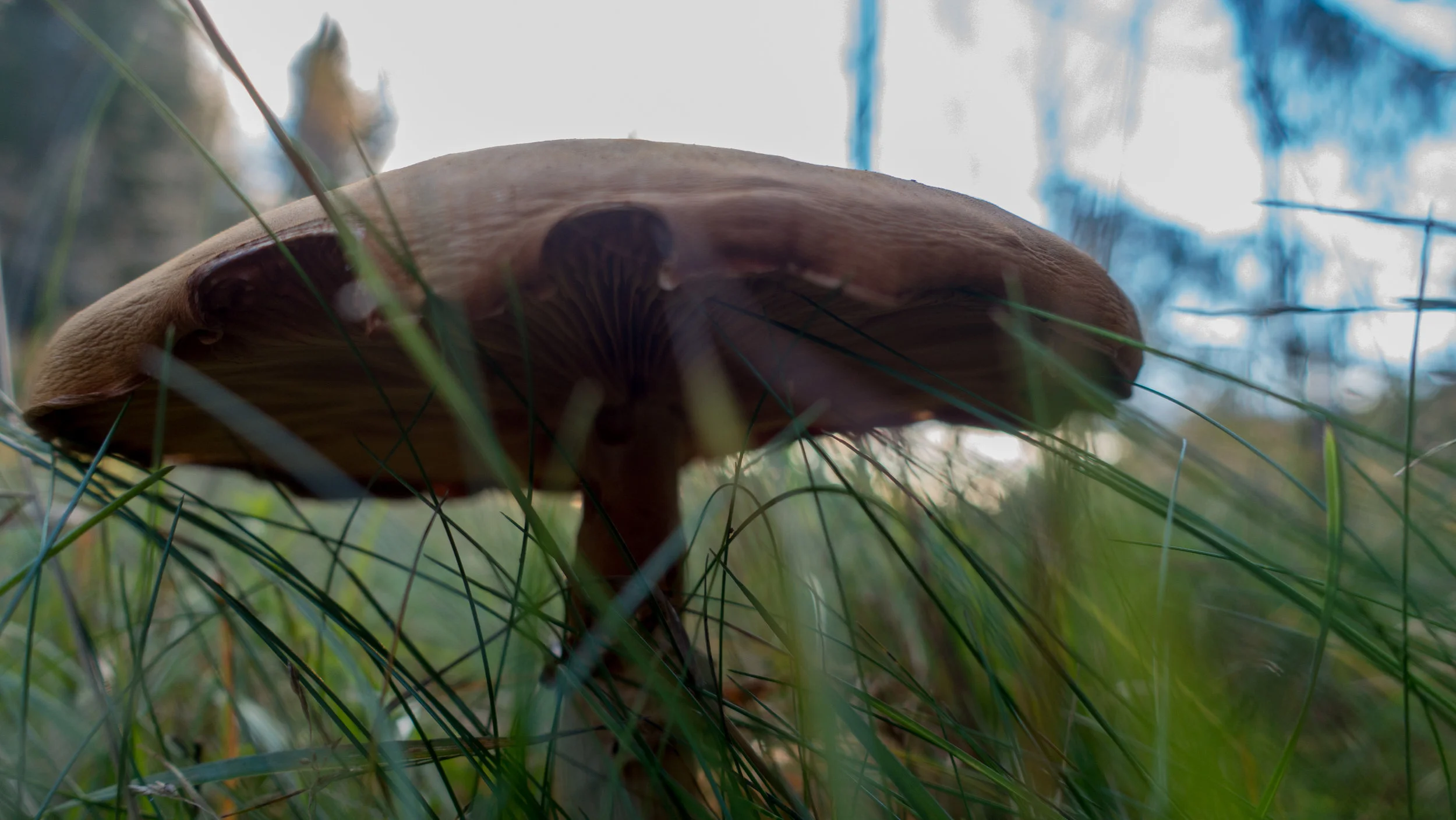DSC01272.jpg