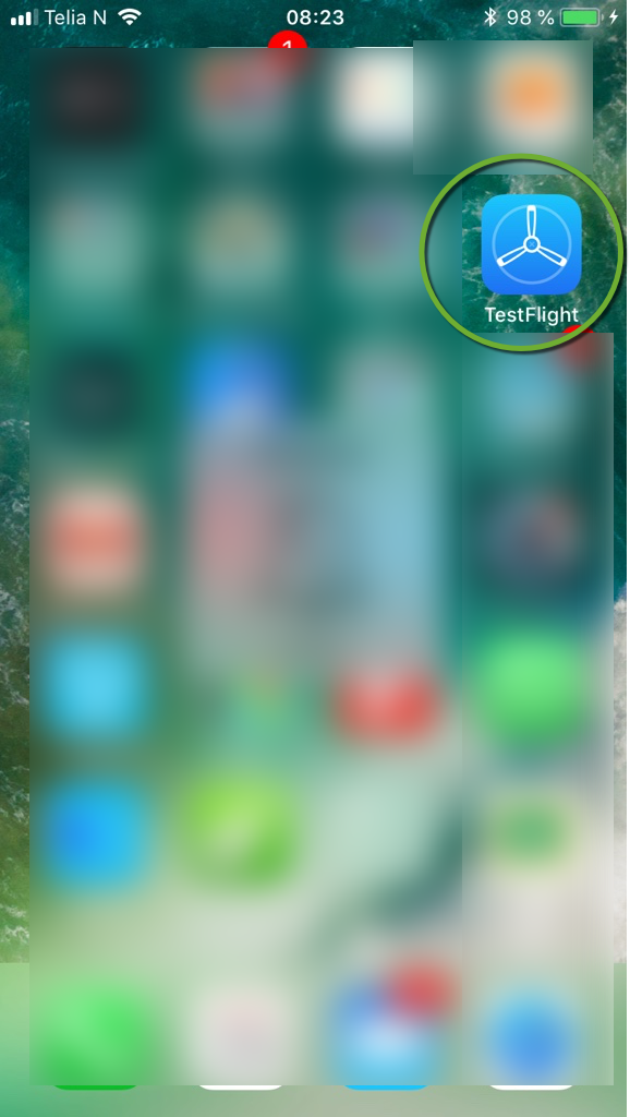 Install Testflight.png