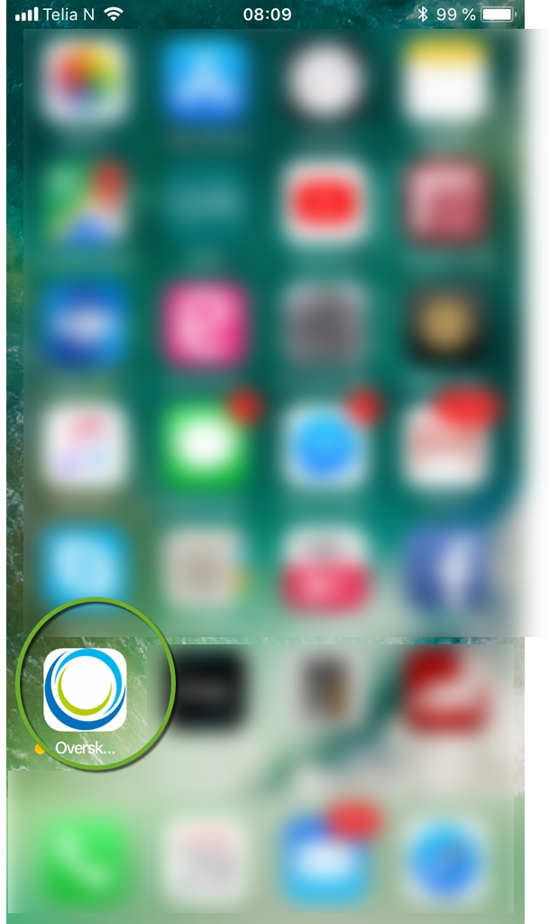 Overskudd app.png