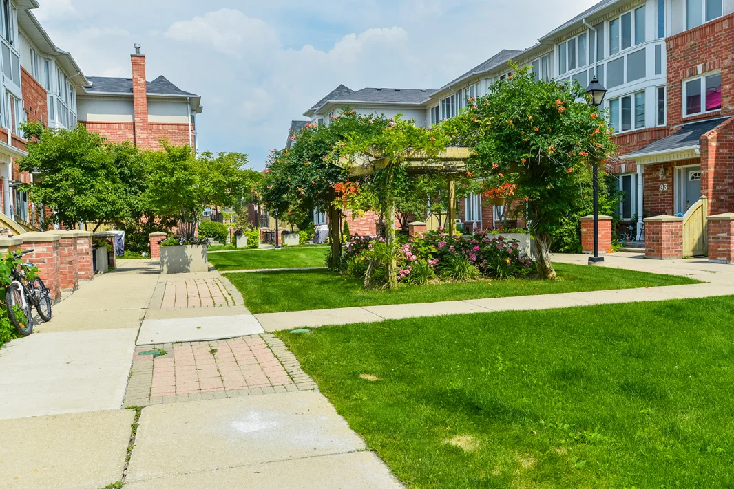 grounds 1.jpg