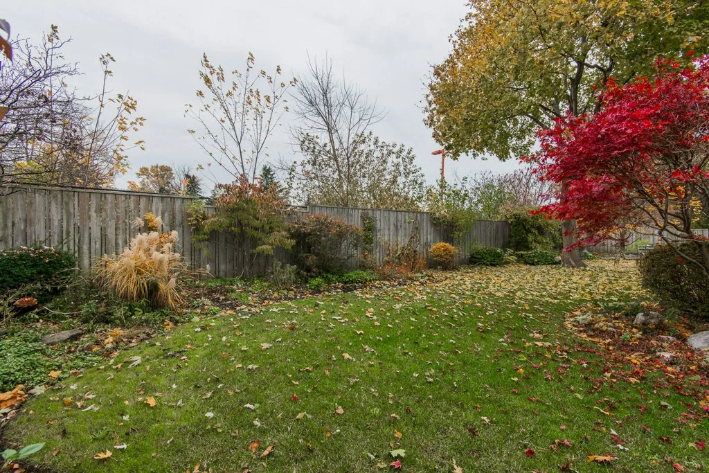 yard.jpg
