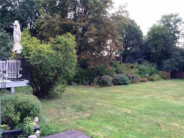 yard.jpg