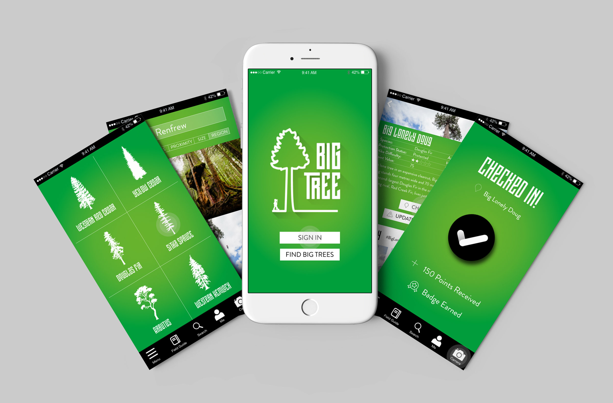 Robazzo provided a full design package for the Big Tree App, from logo, typeface and colour scheme to user interface and wireframes.