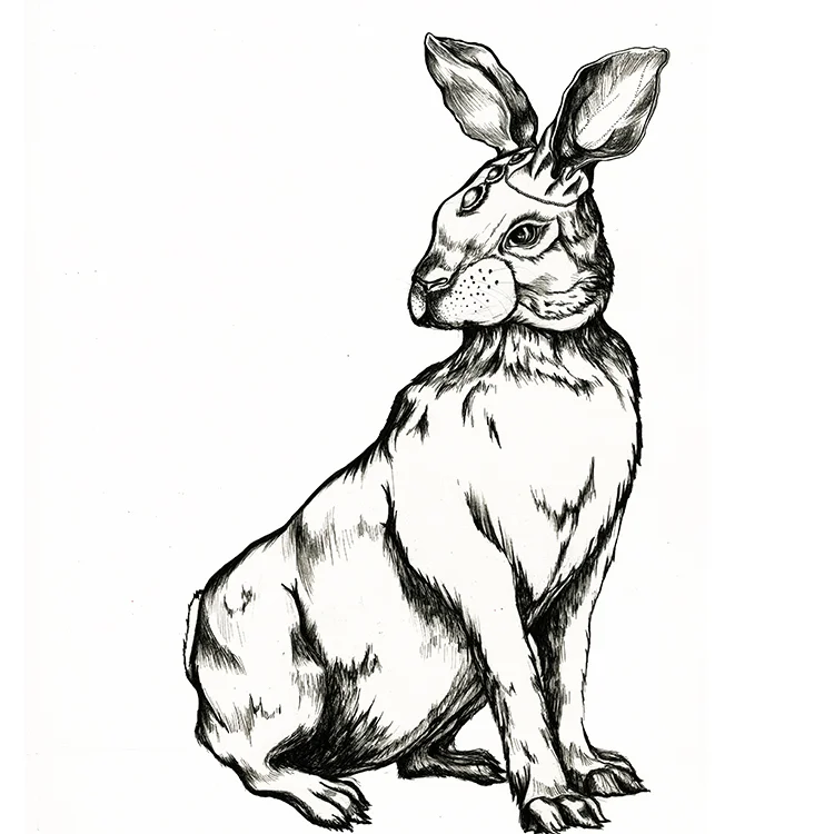 Rabbit 2MB.jpg