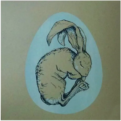 Sleeping Rabbit