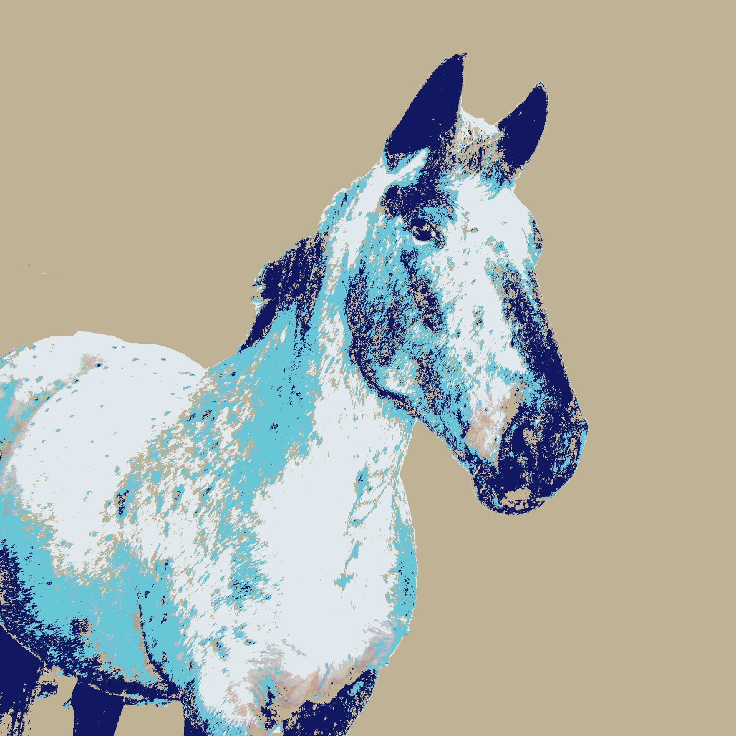 'Painted Horse' Art Print (12x12 Series)