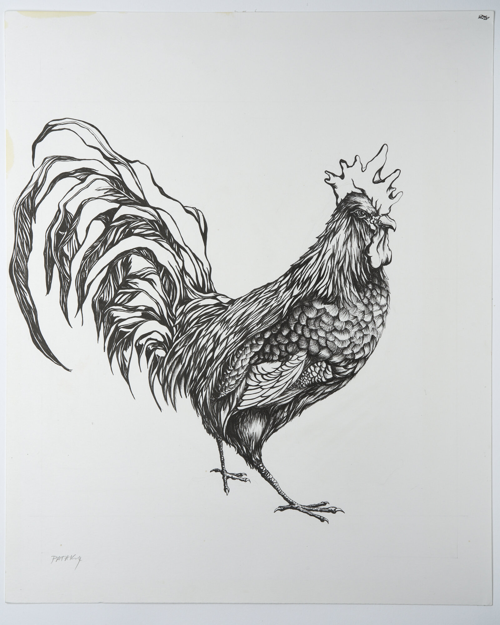 Untitled B&amp;W Print 11