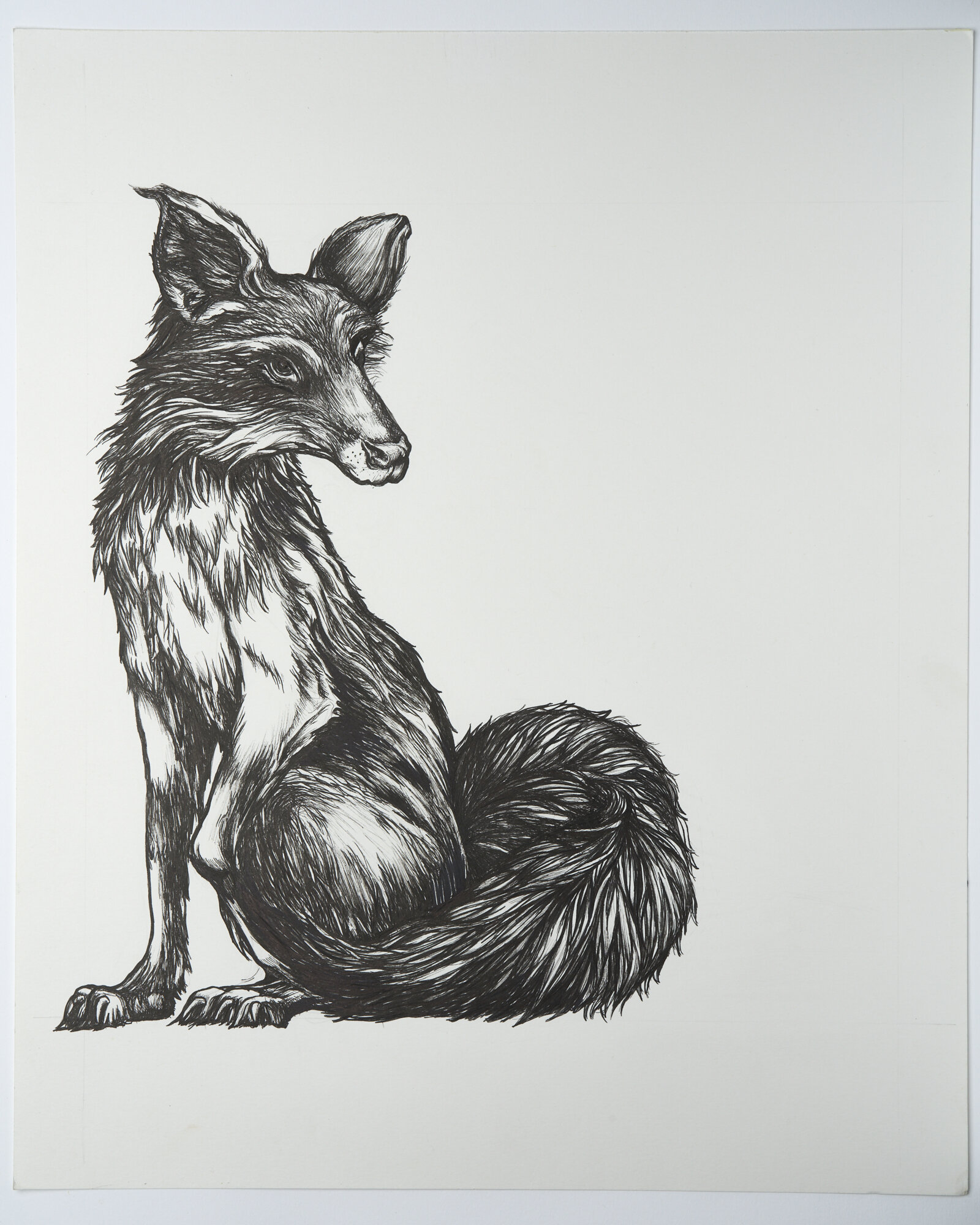 Fox Print (Different Colors)