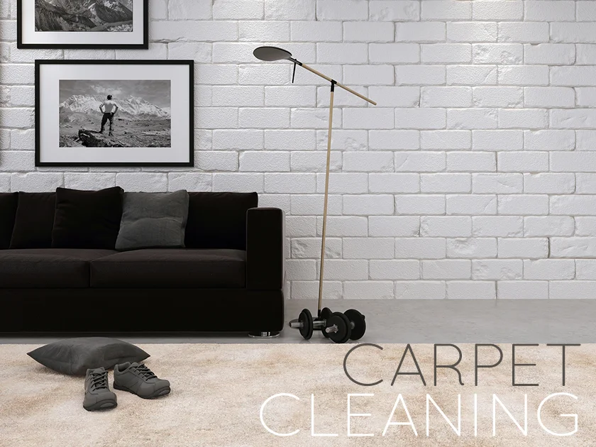 Austin Carpet Cleaning 5124518326 — Steam Team
