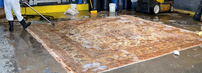 Rug Washing Plant Austin Texas