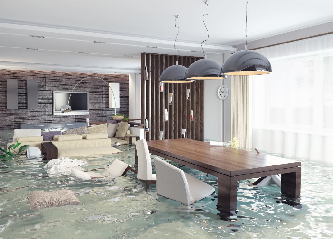 Water cleanup