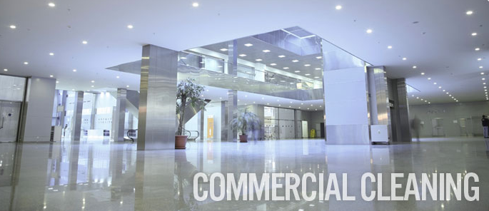 Austin Cleaning Professionals