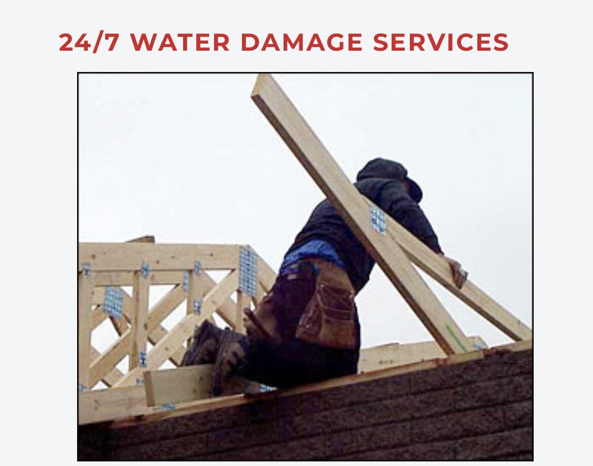 Carpet Cleaner — Steam Team