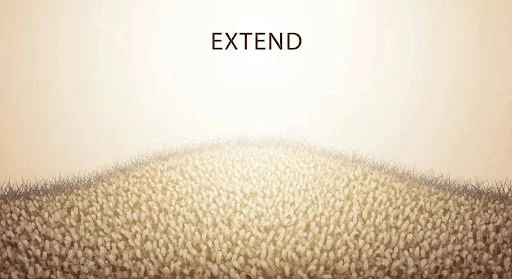 How to Extend the Life of Your Commercial Carpets