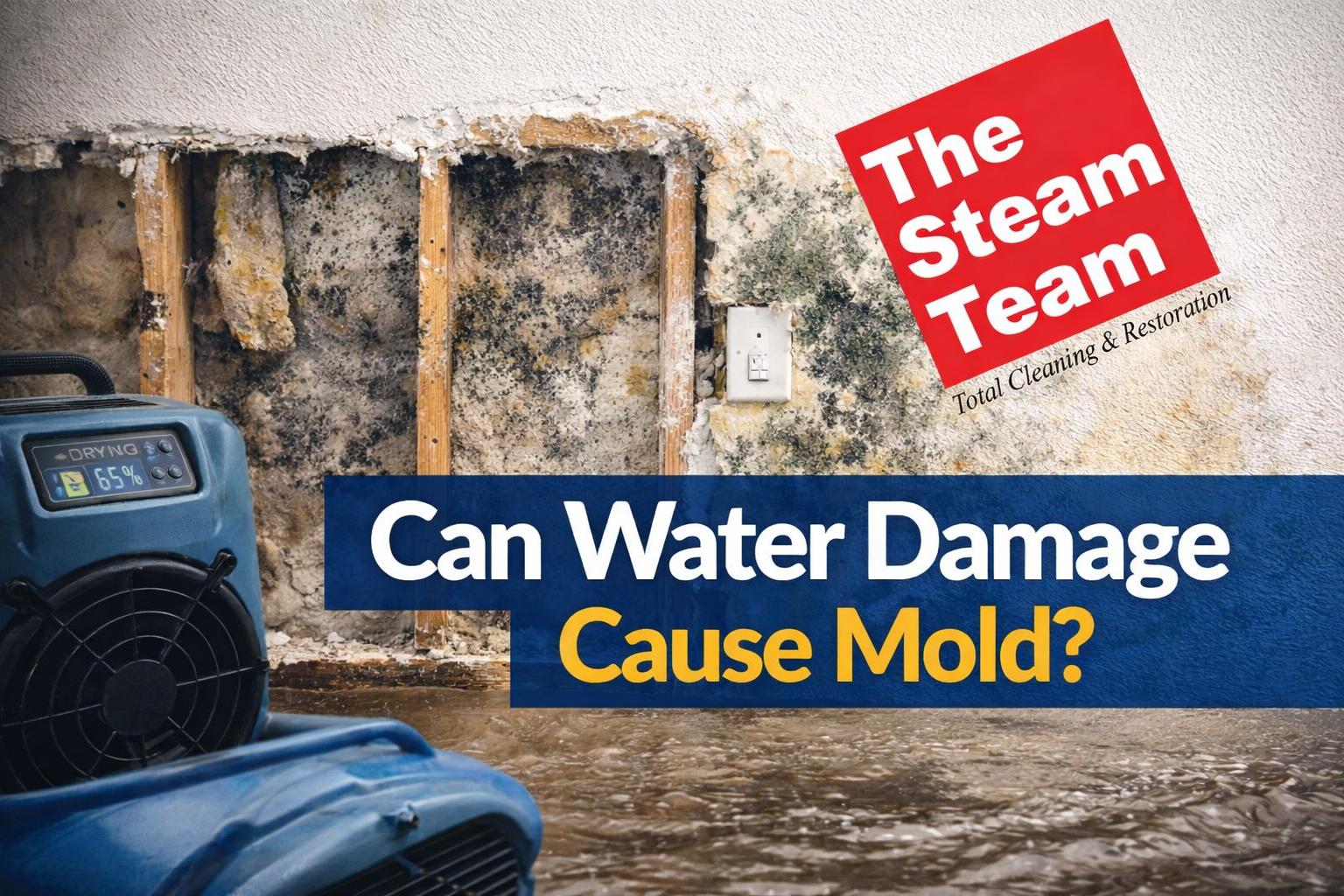 Can Water Damage Cause Mold? Here’s the Truth