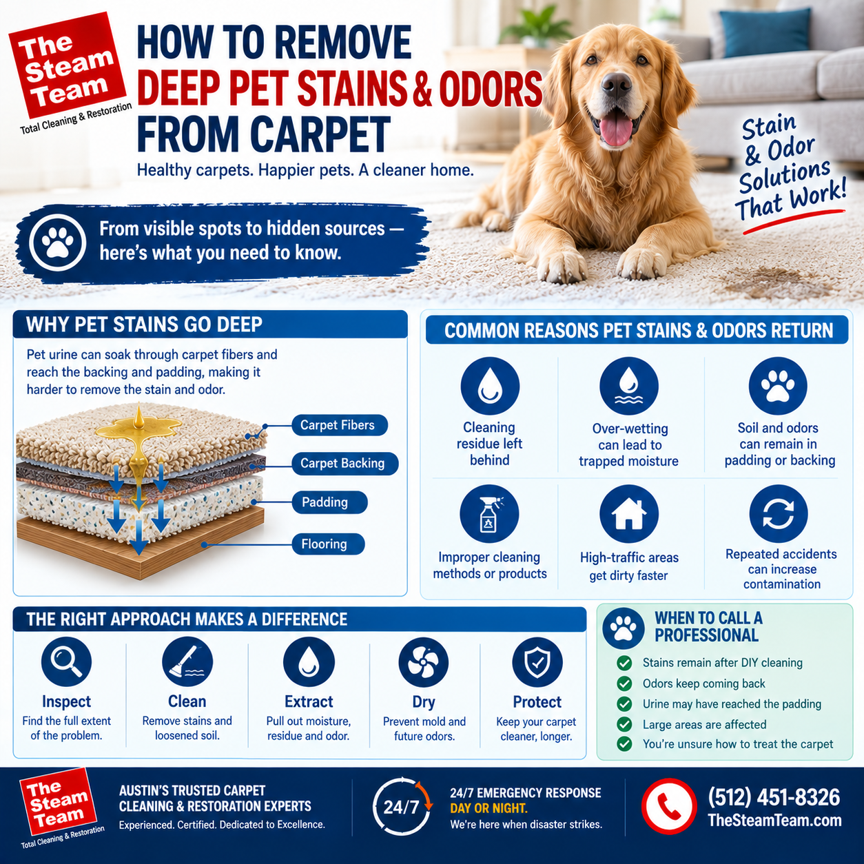 How to Remove Deep Pet Stains and Odors From Carpet
