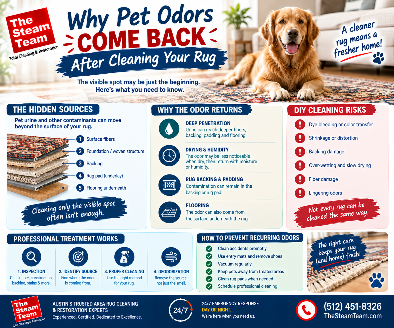 Why Pet Odors Come Back After Cleaning Your Rug