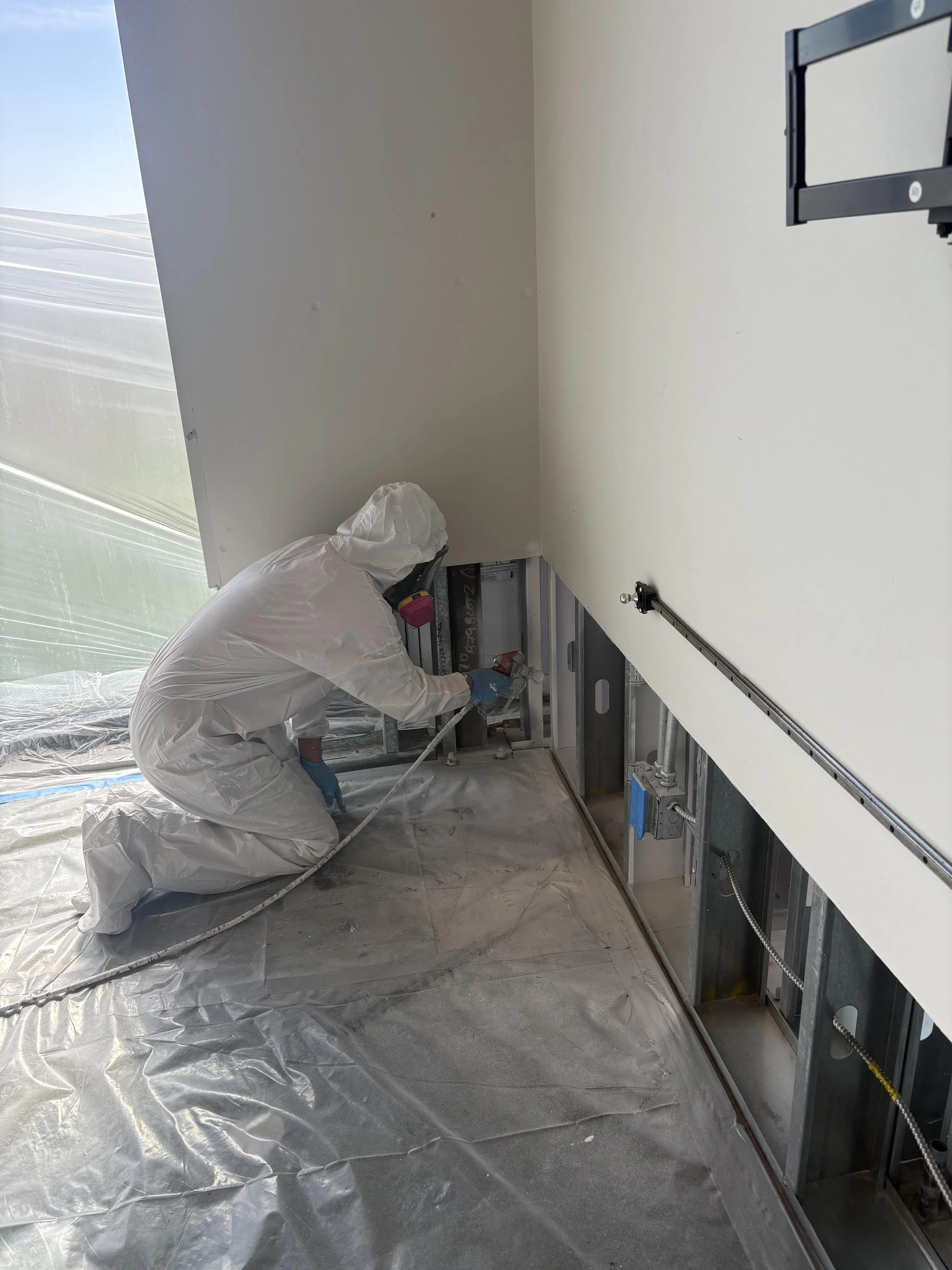 Mold after water damage Austin.jpeg