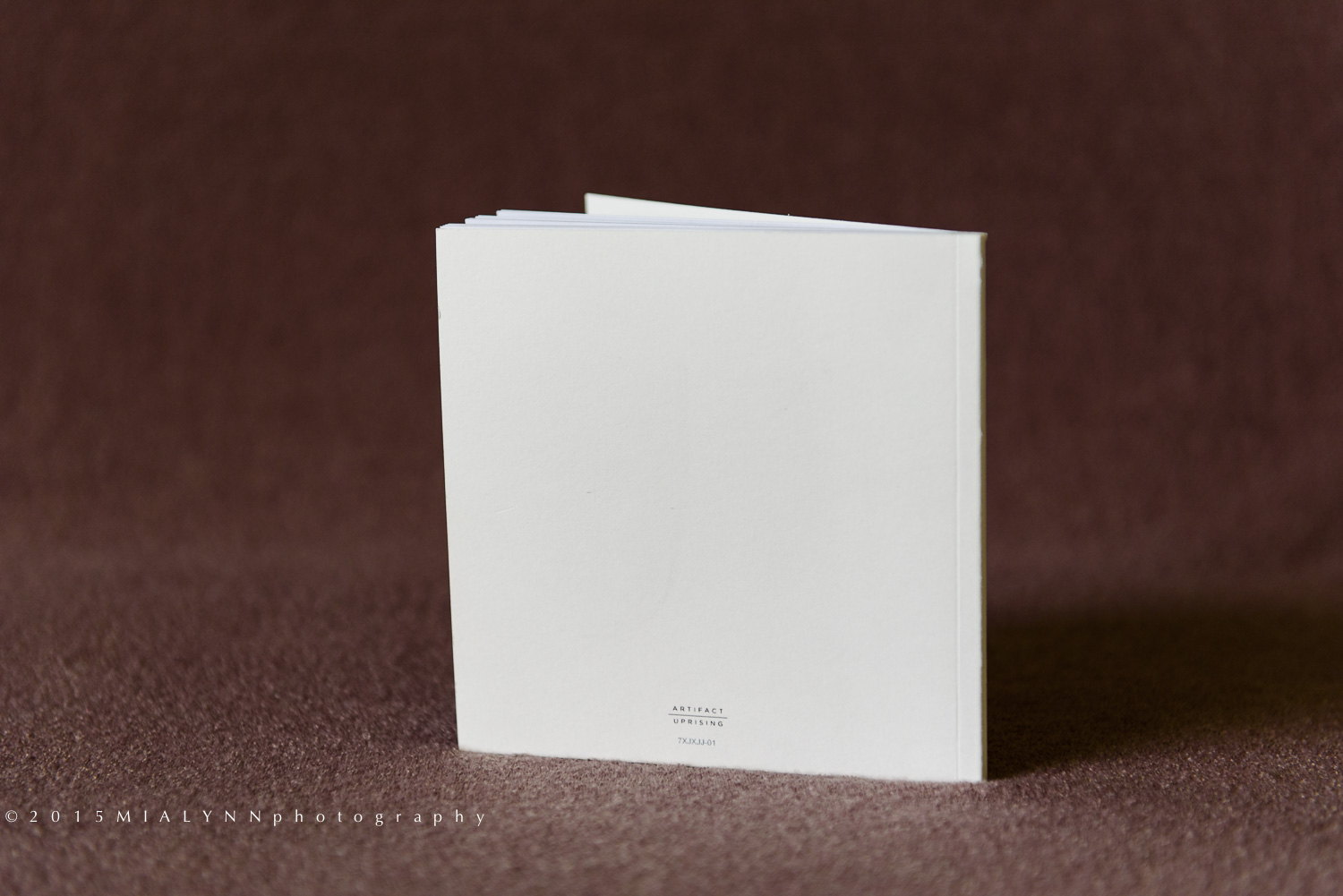 ©2015MIALYNNphotographyArtifact Uprising Book_2.jpg