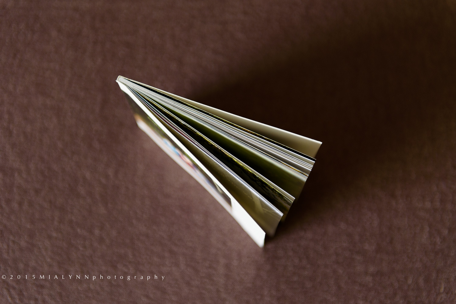 ©2015MIALYNNphotographyArtifact Uprising Book_3.jpg