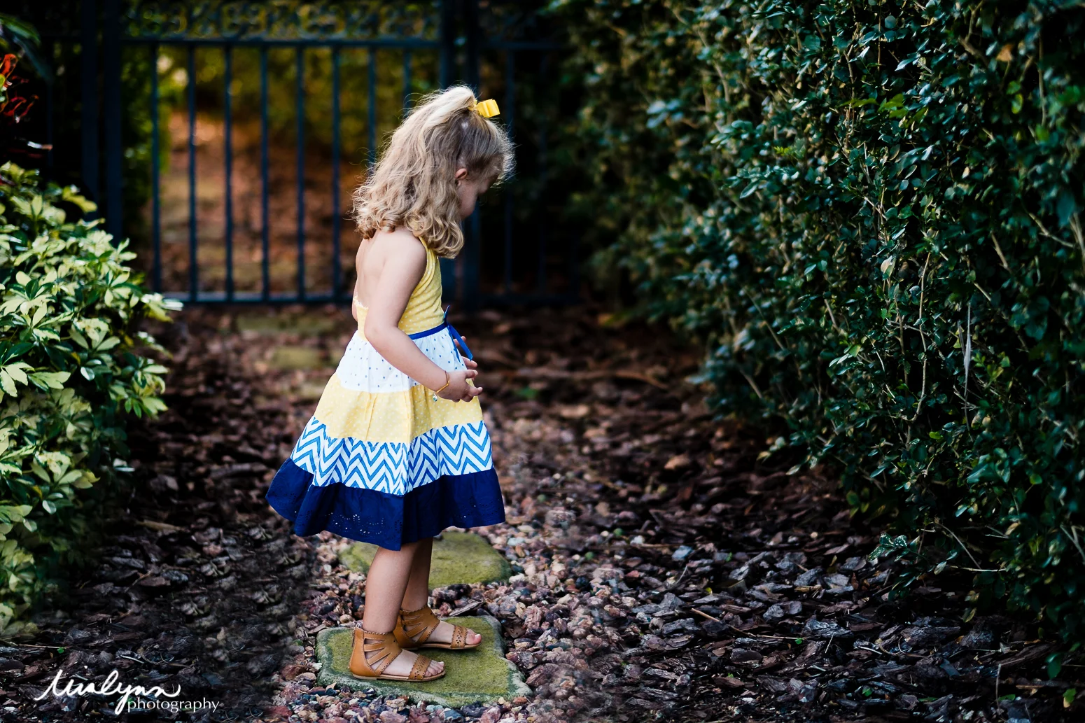 children and family photographer