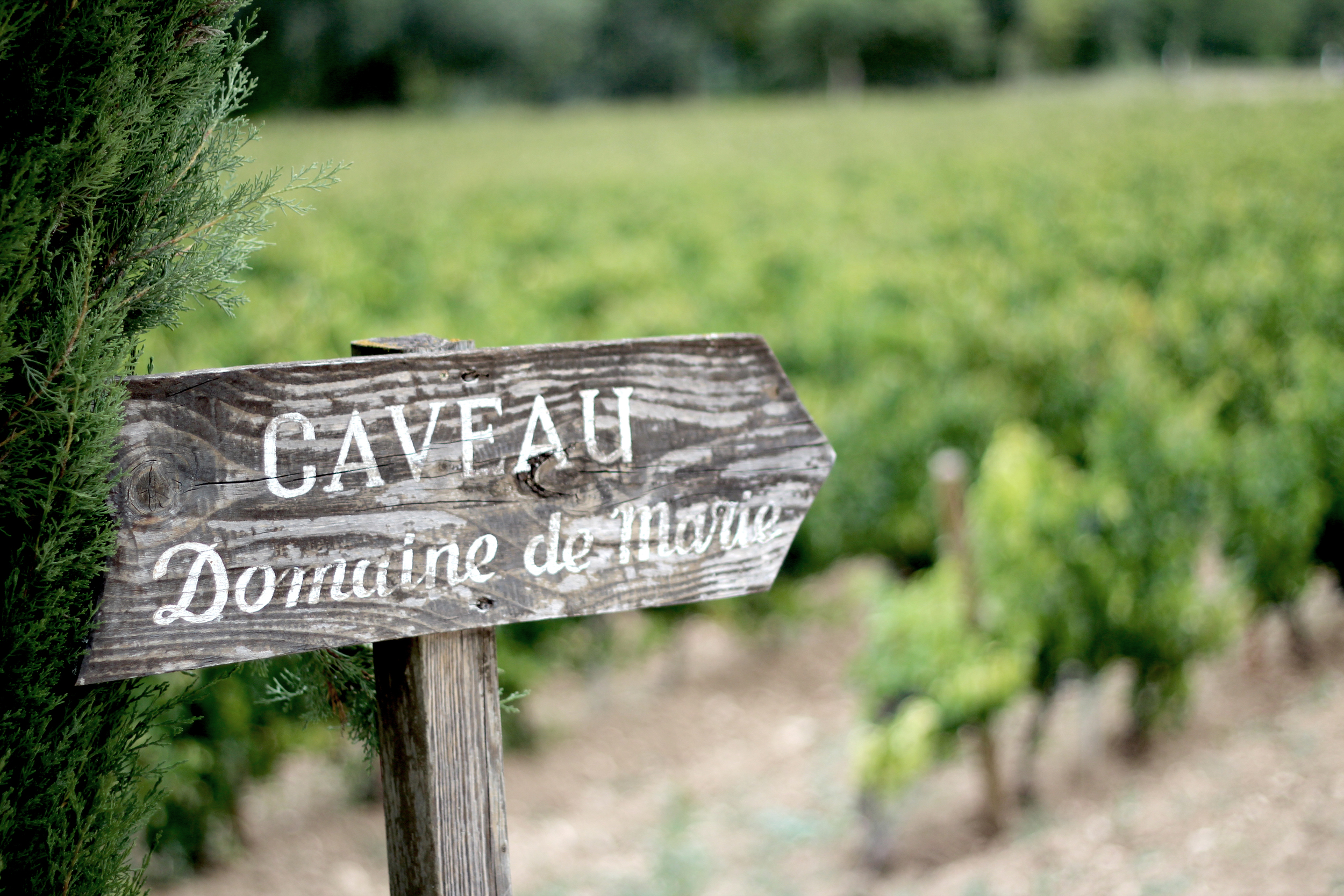 provence05.jpg