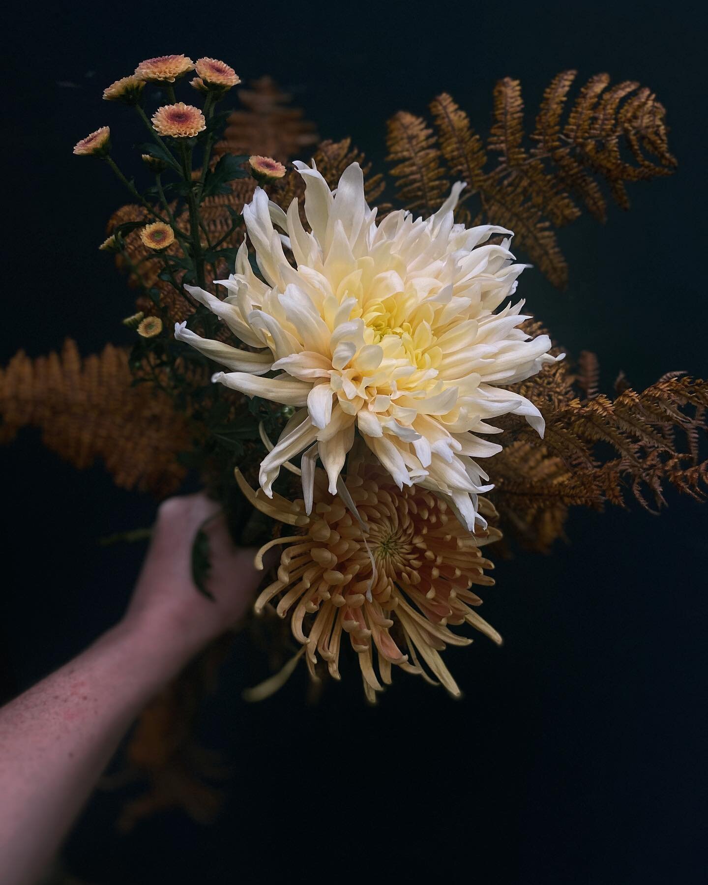 Copper, Bracken and Chrysanthemum 🍂🧡