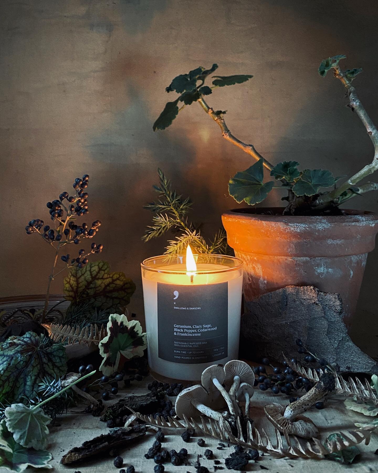 We are over the moon to share a project we have been working on this past year with the amazing @lithome.uk 

Introducing the Swallows &amp; Damsons scented candle. Features soft floral notes of clary sage and geranium, warming black pepper and a woo