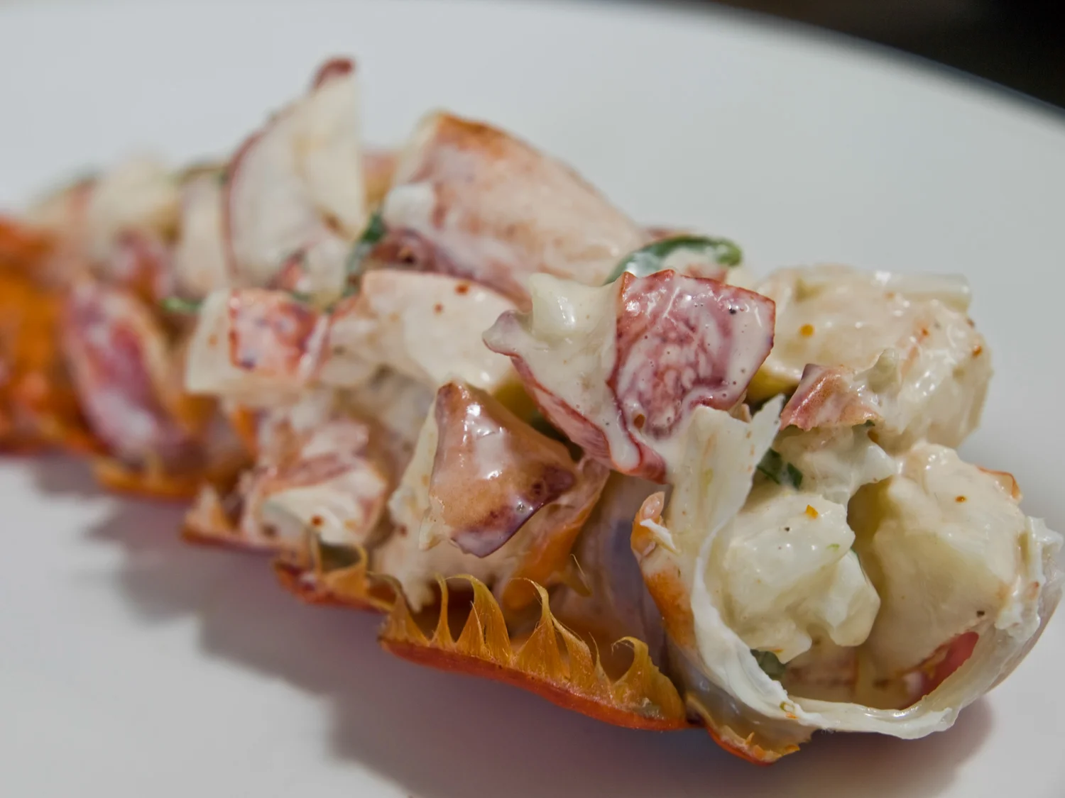 Lobster Salad