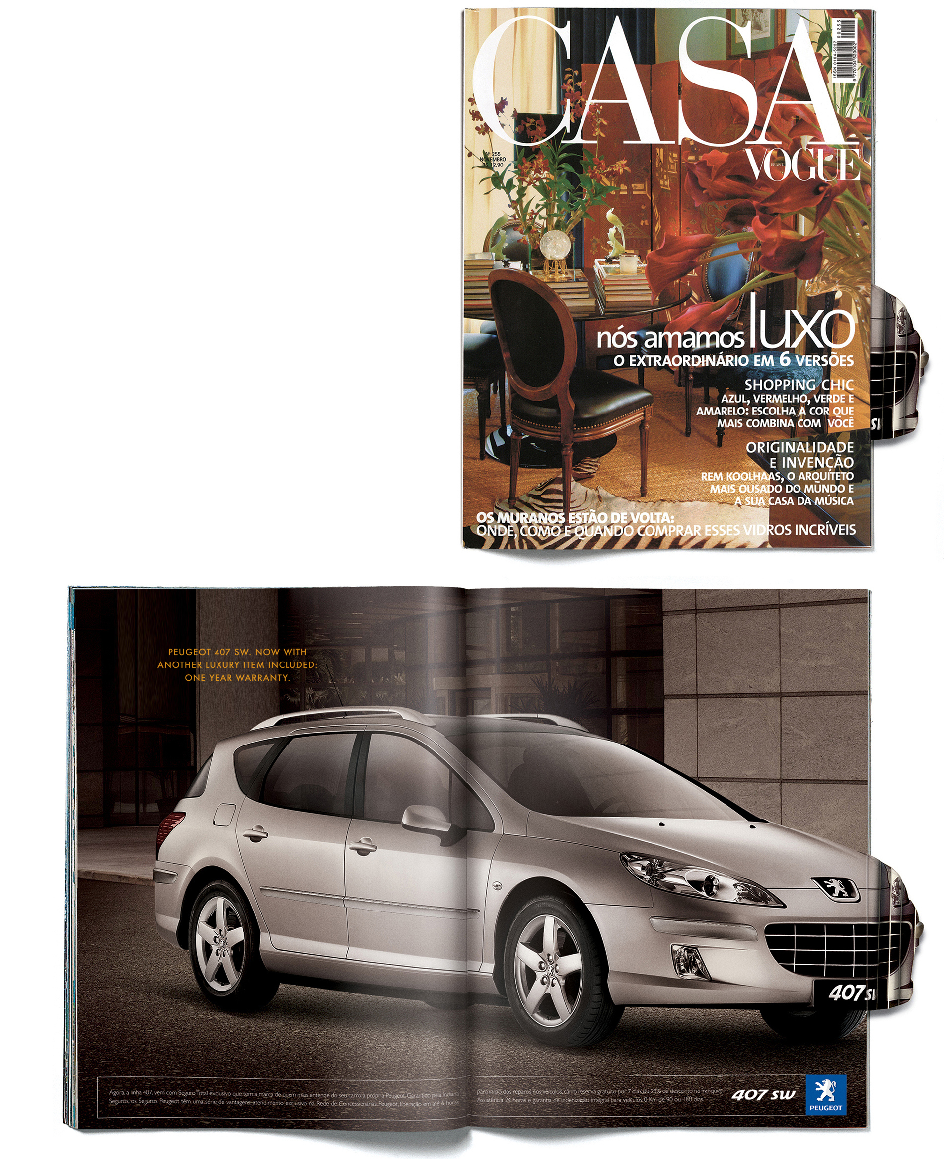 an peugeot amassado 2.jpg