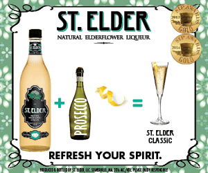 Copy of Web Banner Ad