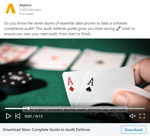 audit guide.PNG
