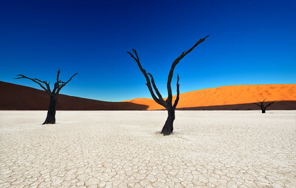 Dead Vlei 11v2 copy.jpg