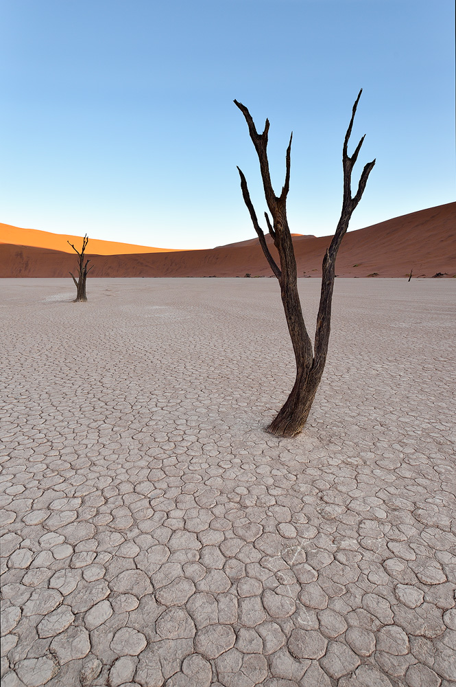 ZDead Vlei 12 copy.jpg