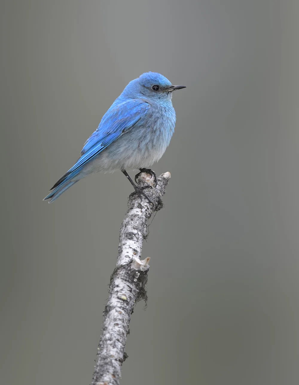 DSC_1521.jpg