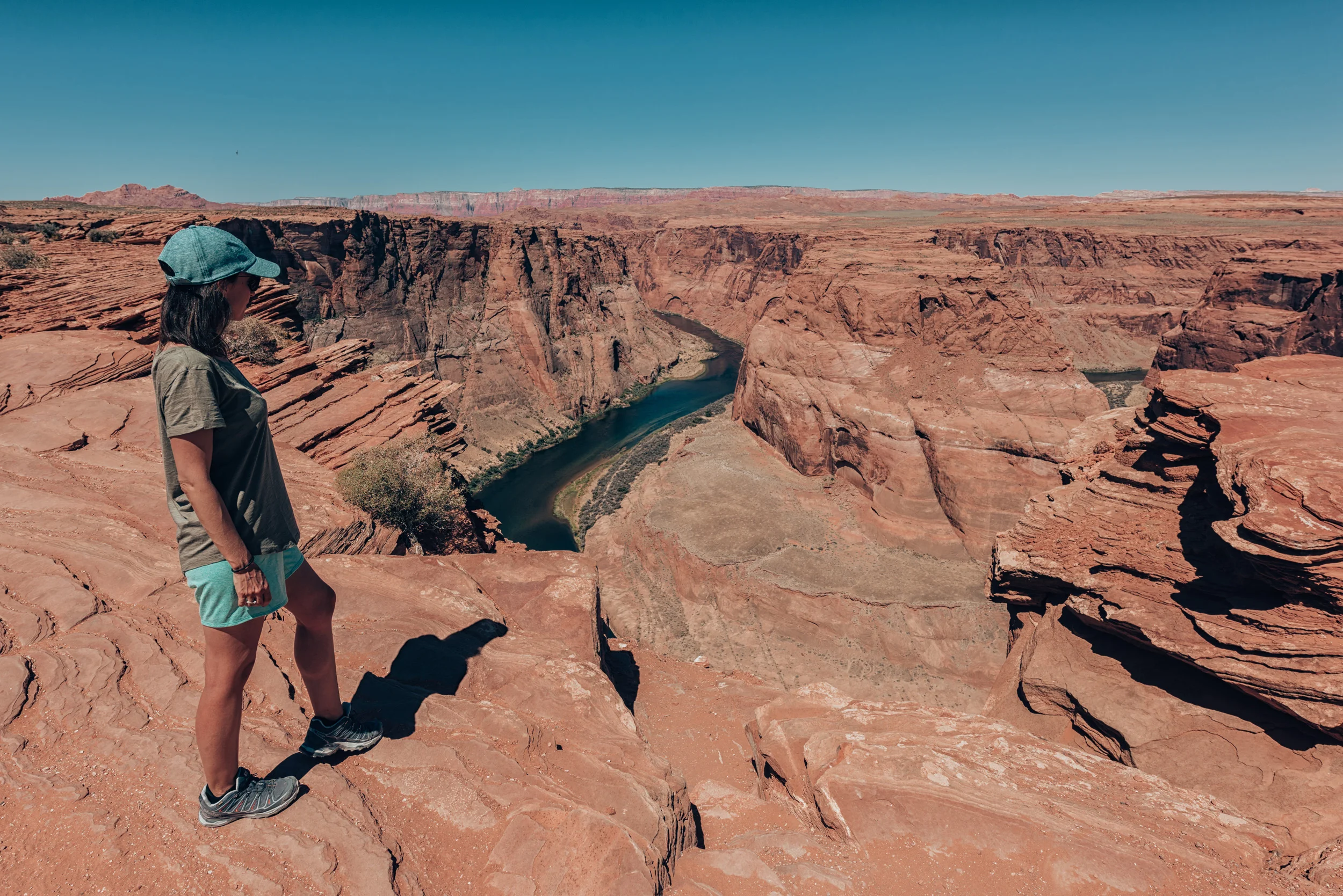 _DSC6555.jpg