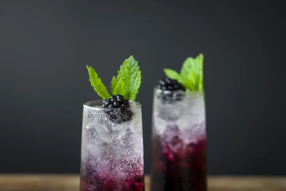 BLACKBERRY, MINT, & CUCUMBER GIN SPRITZER