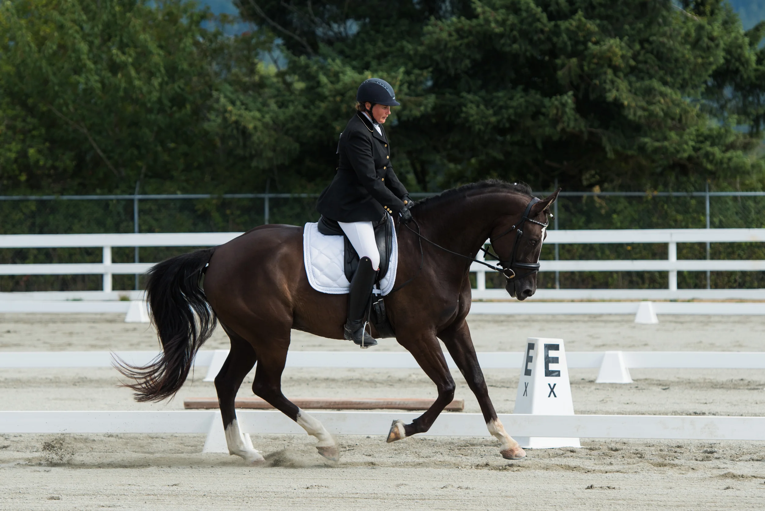 CCC Horse 146-14.jpg