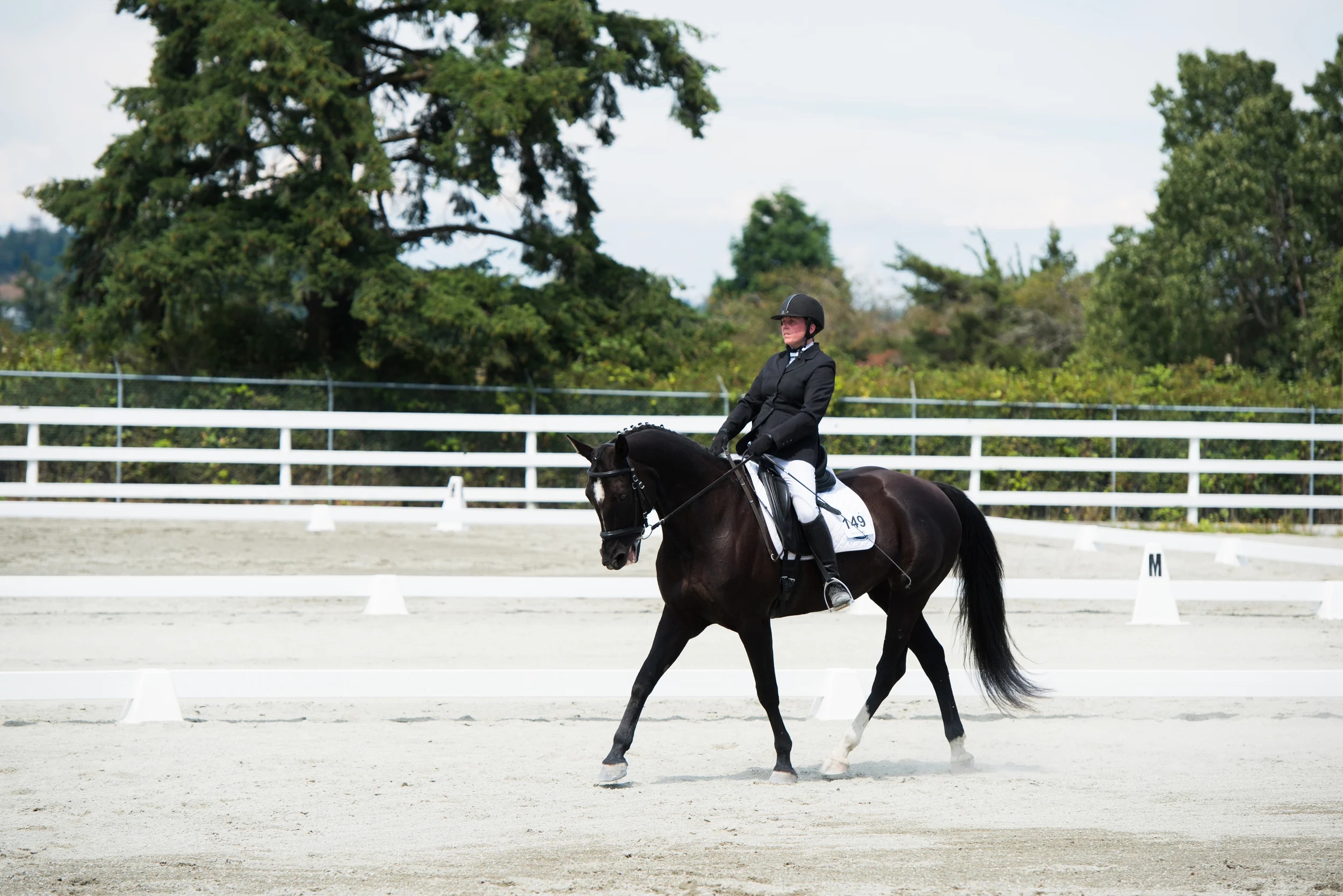 CCC Horse 149-14.jpg