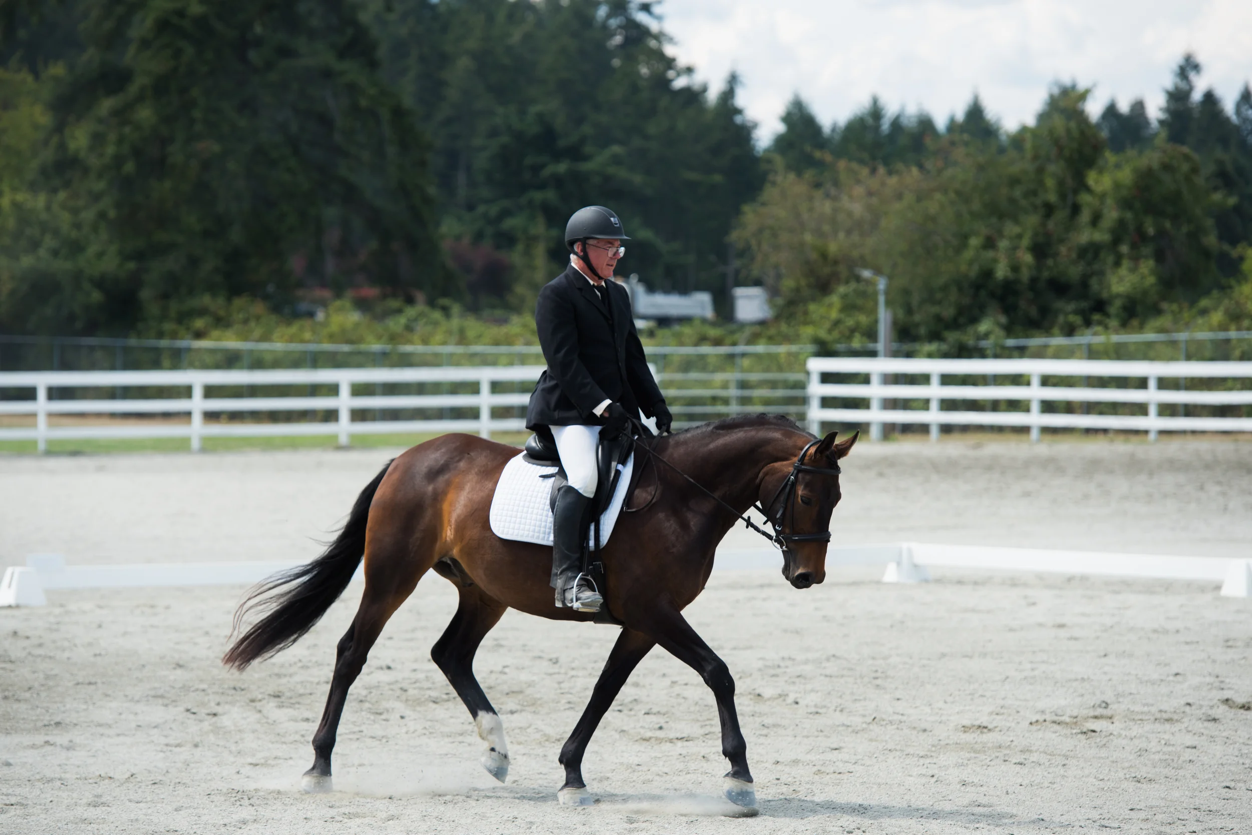 CCC Horse 154-16.jpg