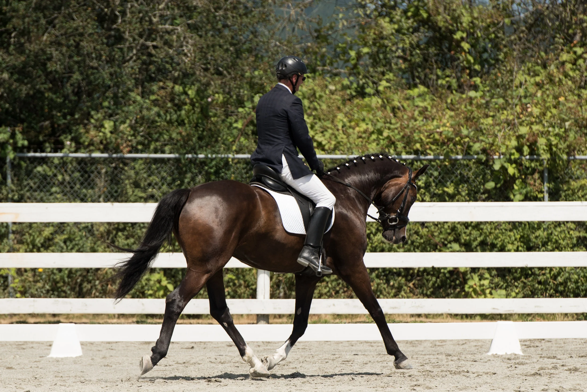 Horse 18-9.jpg