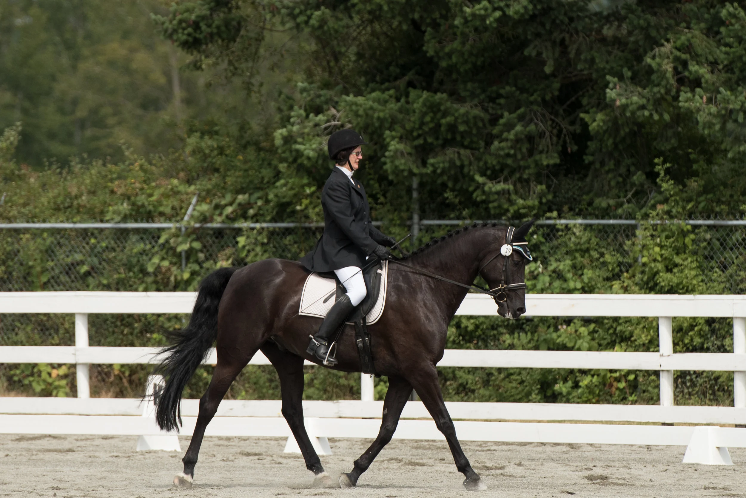 Horse 29-3.jpg