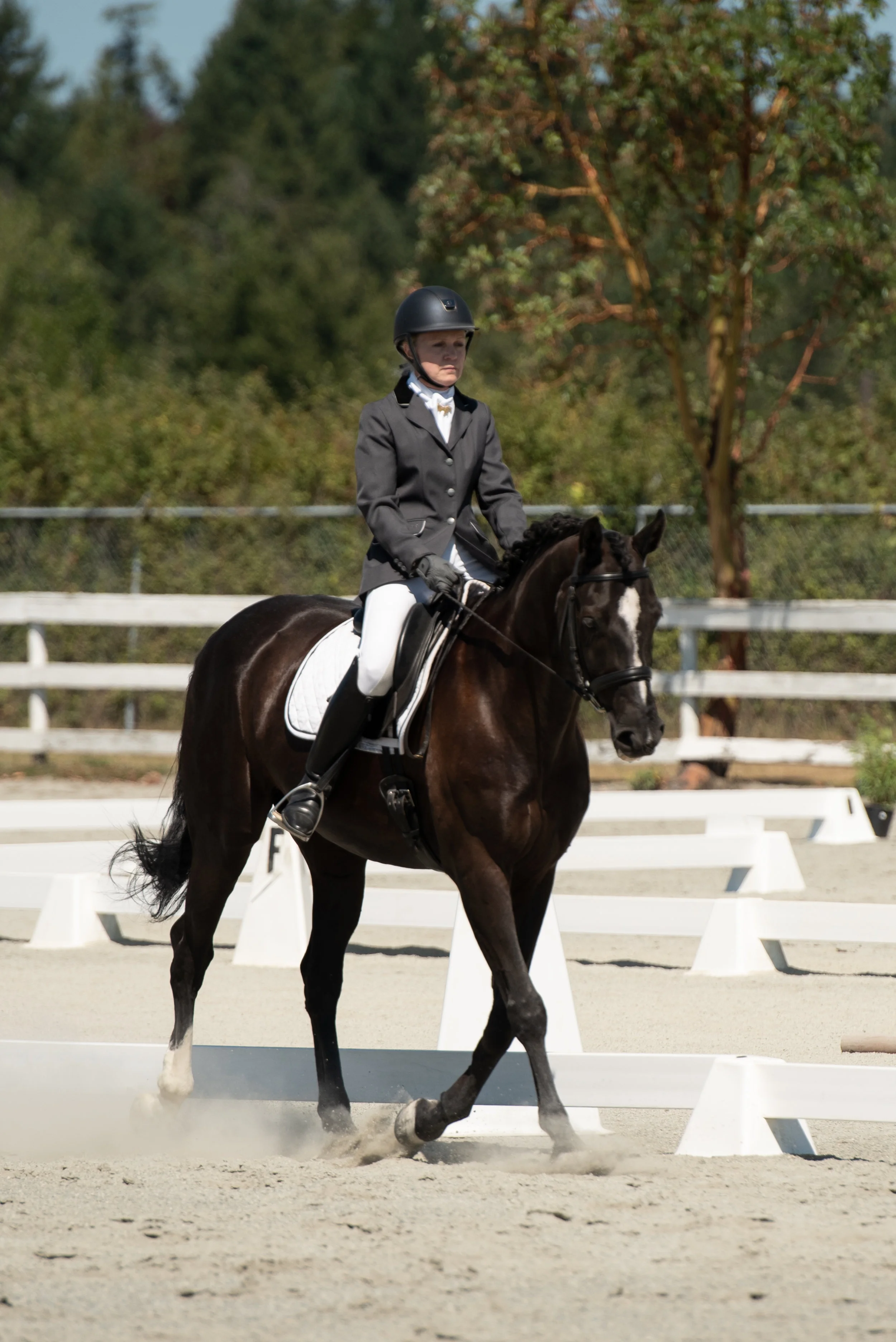 Horse 27-9.JPG