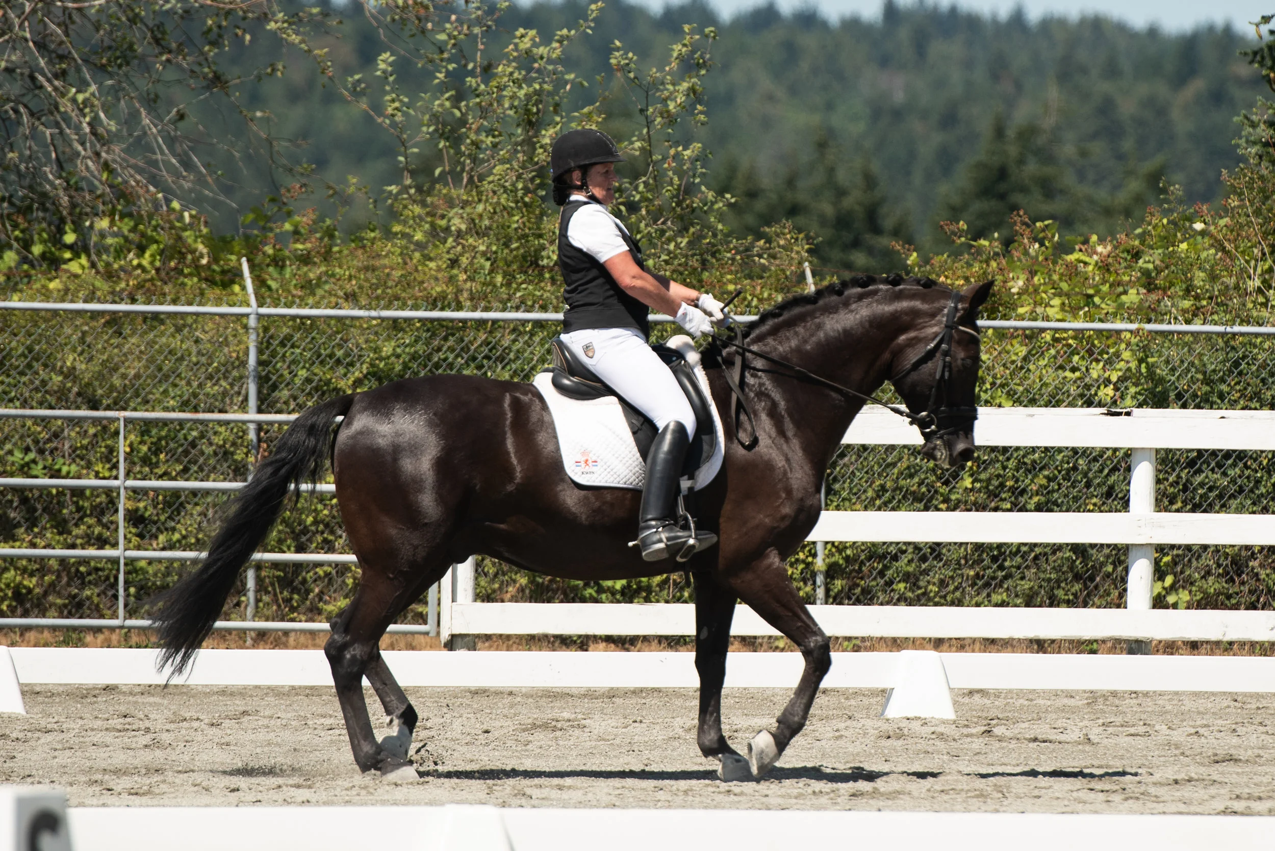Horse 30-5.JPG