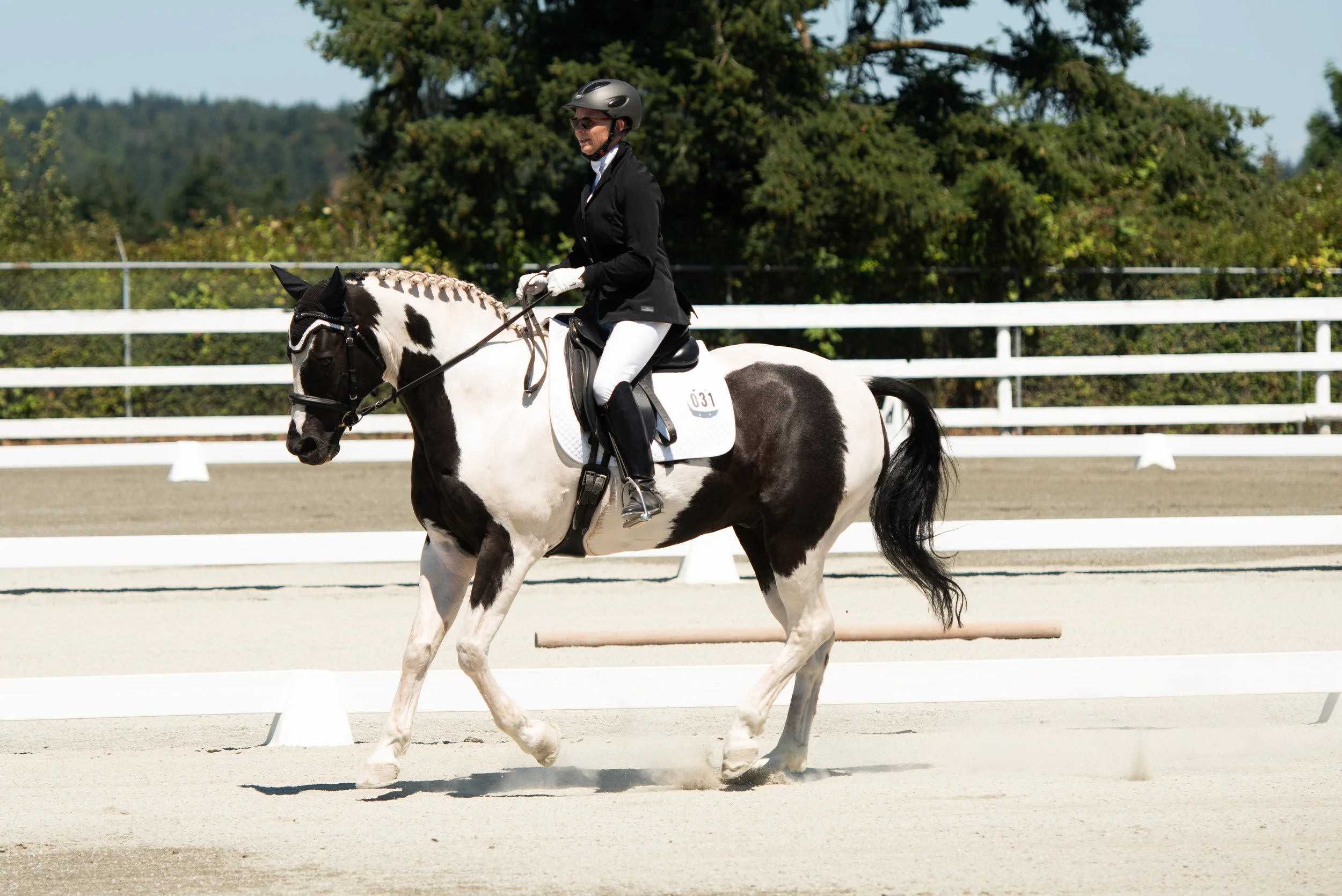 Horse 31-4.JPG
