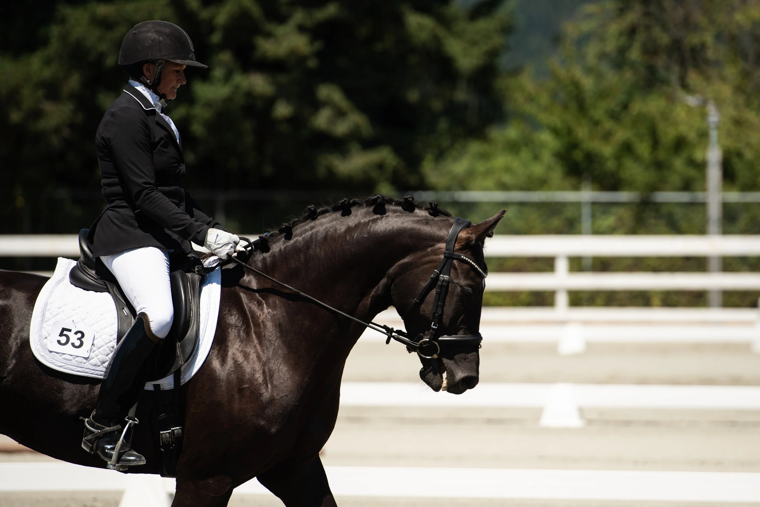 Horse 53-4.JPG
