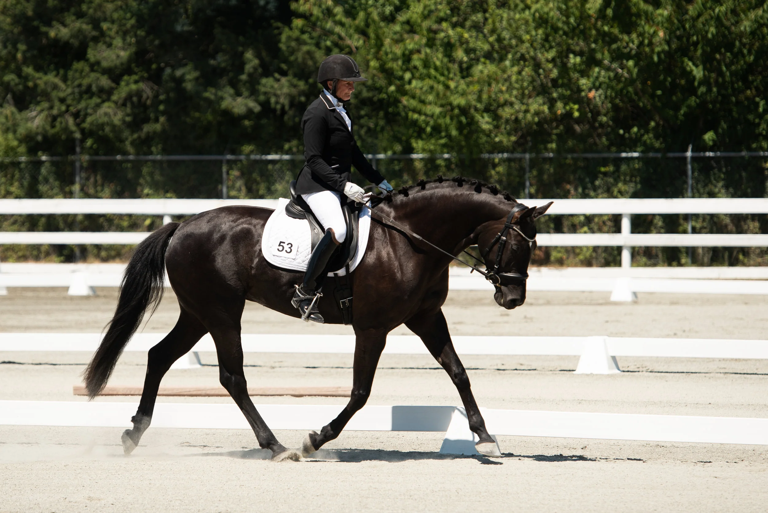 Horse 53-15.JPG