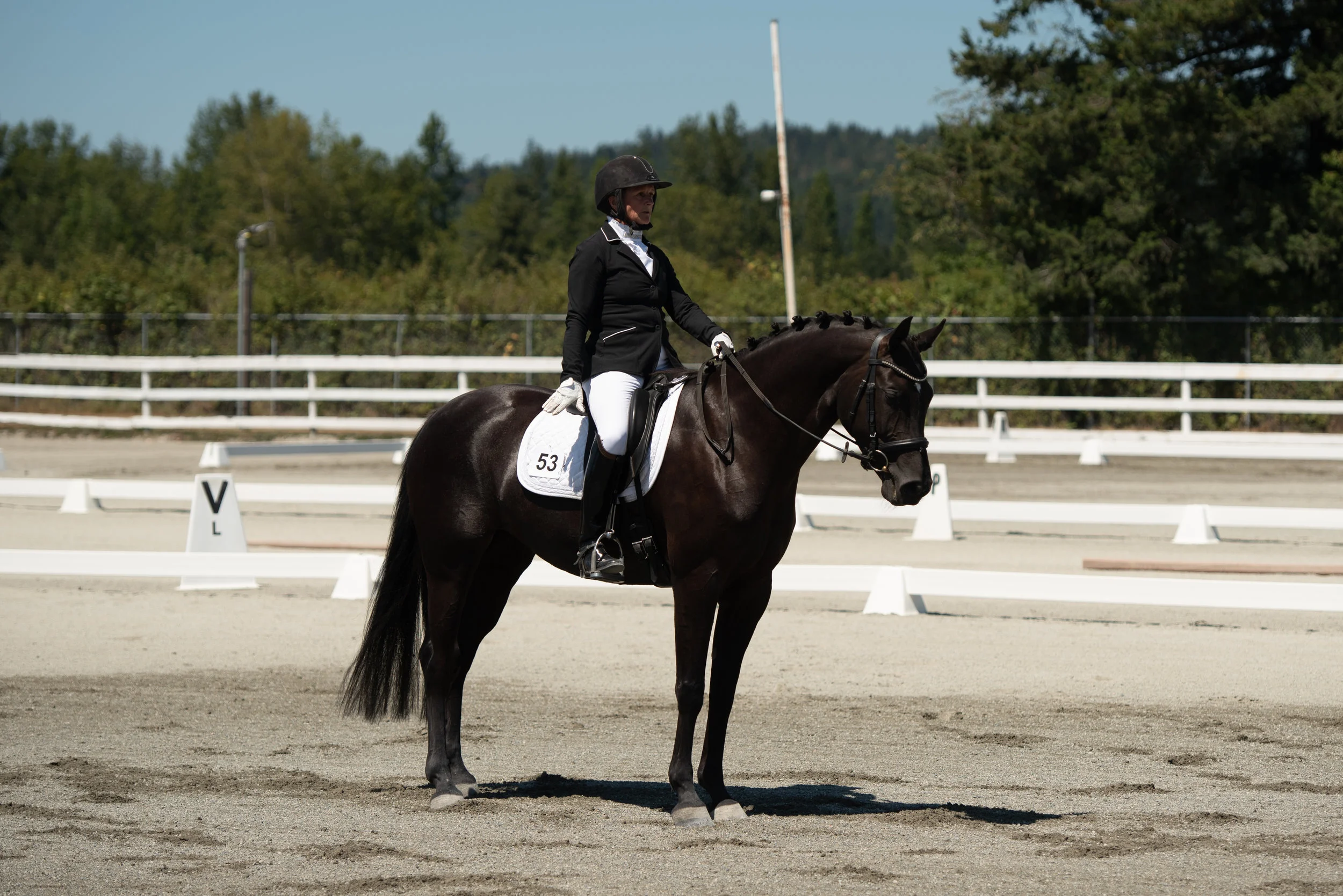 Horse 53-16.JPG